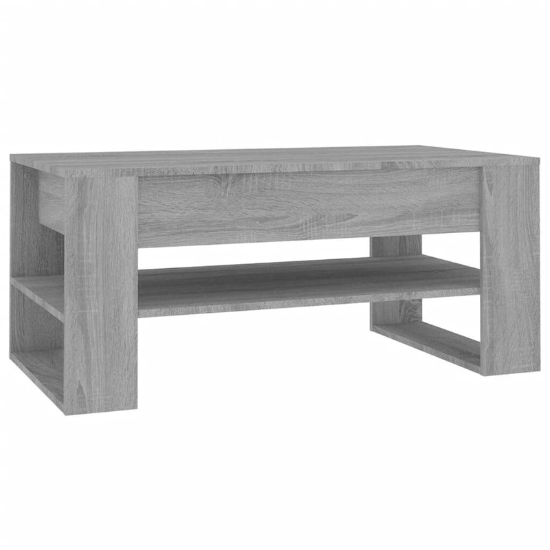 Tavolino da salotto moderno con ripiano portaoggetti